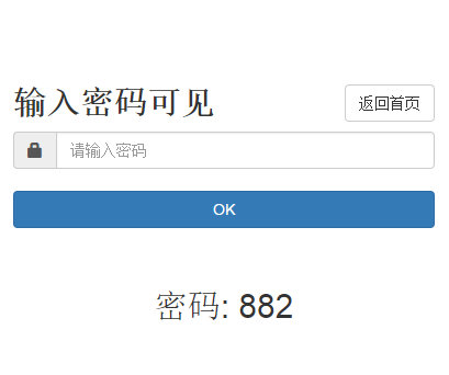 动态密码访问网页 防洪X站专用